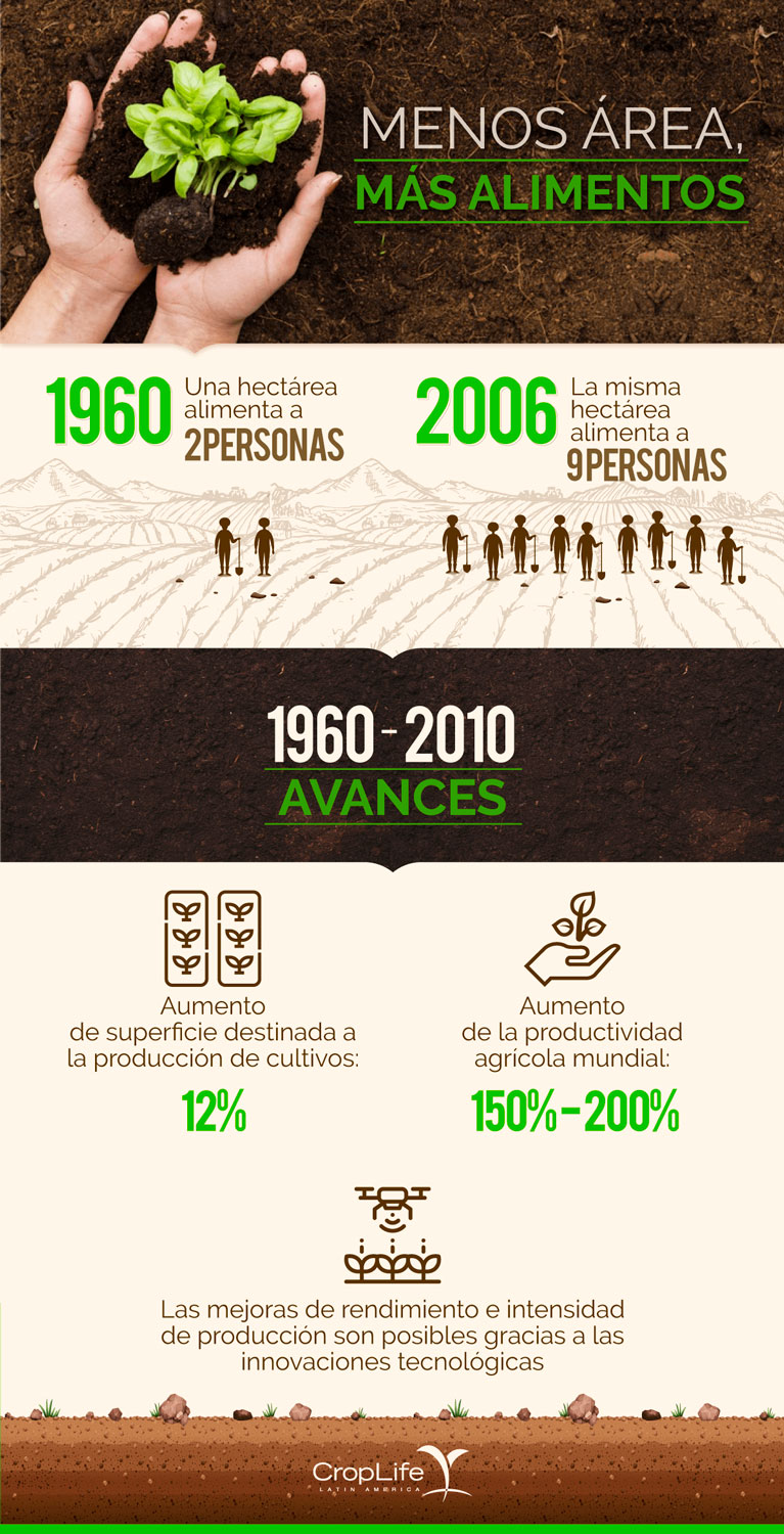 Infografía_Suelos