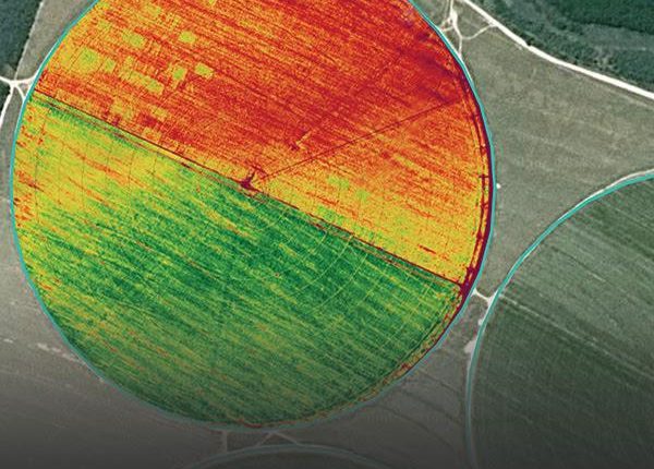 TARANIS – Presentan plataforma para planificar con precisión monitoreos de cultivos