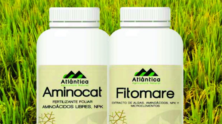 Aminocat y Fitomare para su cultivo de arroz