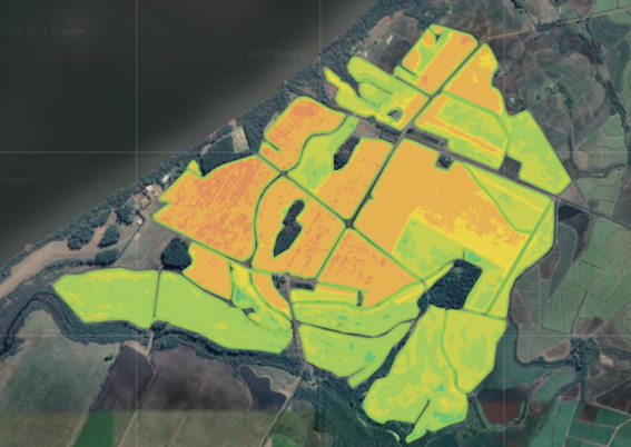 Taranis: Inteligencia Artificial aplicada al cultivo de arroz