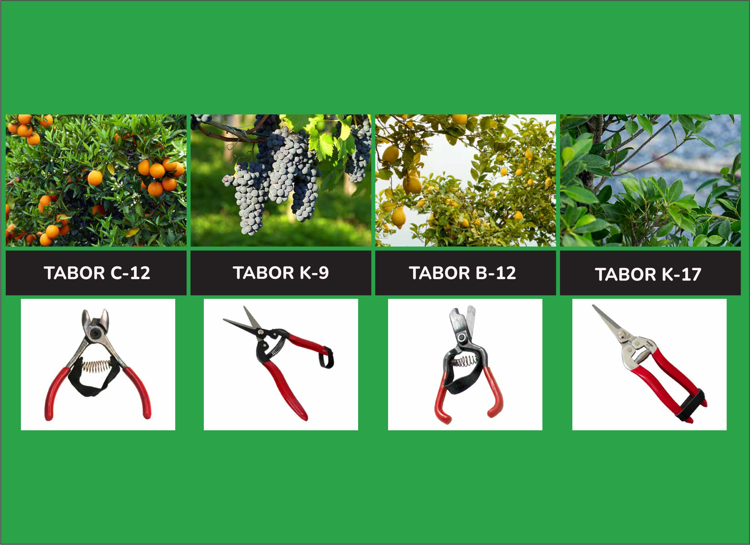 Tabor Tools, las mejores tijeras para frutales